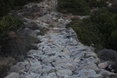 img_9584_web