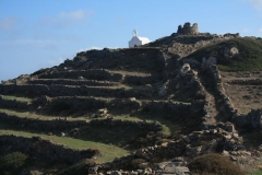 img_9611_web