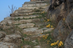 img_9653_web