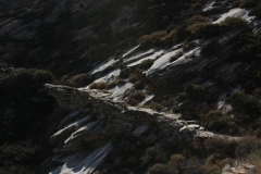 img_9684_web (1)