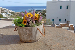 Sikinos Lucas Panorama 18