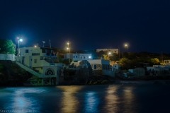 DSC_3728-2